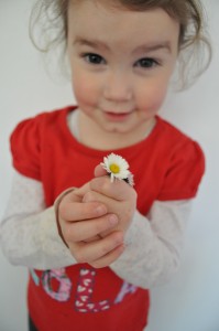 Day 27:  Lola picked a daisy just for me