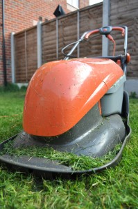 Day 37:  The smell of freshly mown grass