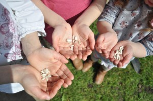 Day 59:  Planting sunflower seeds with the girls