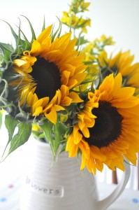 Day 115:  Happy, smiley sunflowers :)