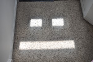 Day 152:  The sunlight streaming in through the windows in my front door created this face on my hallway carpet.  Still making me smile days later! :)