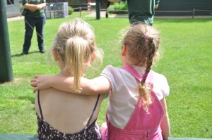 Day 151:  Sisterly love during an afternoon at Gentleshaw Wildlife Sanctuary