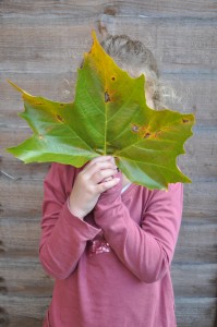 Day 228:  Playing hide-and-seek!