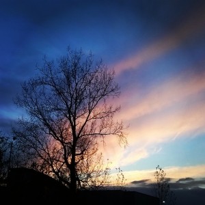 Day 244:  Beautiful November sky noticed by Ella on our walk home from school after getting fantastic feedback for all three girls at Parent's Evening