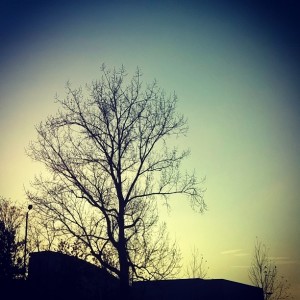 Day 260:  Love clear and sunny days in Autumn.  This was the sky on the school-run today... So beautiful