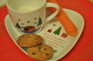 Day 294:  Christmas Eve!  Making memories with my girls by following our traditions... Christmas jumpers, watching their messages from Santa, and of course leaving out cookies, milk and a carrot for Santa and his reindeer