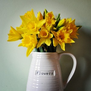 Day 327:  Happy, smiley, sunshiney flowers.  I love daffodils.  Spring is on it's way!