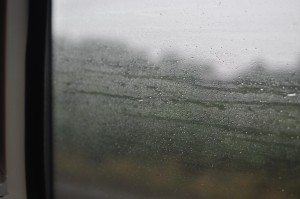 Day 526:  I have always loved watching raindrops chase each other on windows.  