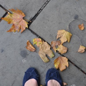 Day 525:  Autumn leaves on the ground in London this morning.  Considering we haven't really even had a summer yet it does seem a tiny bit unfair that Autumn is already on it's way.  And yet, a teeny tiny part of me is secretly quite looking forward to it - it's my favourite season :)